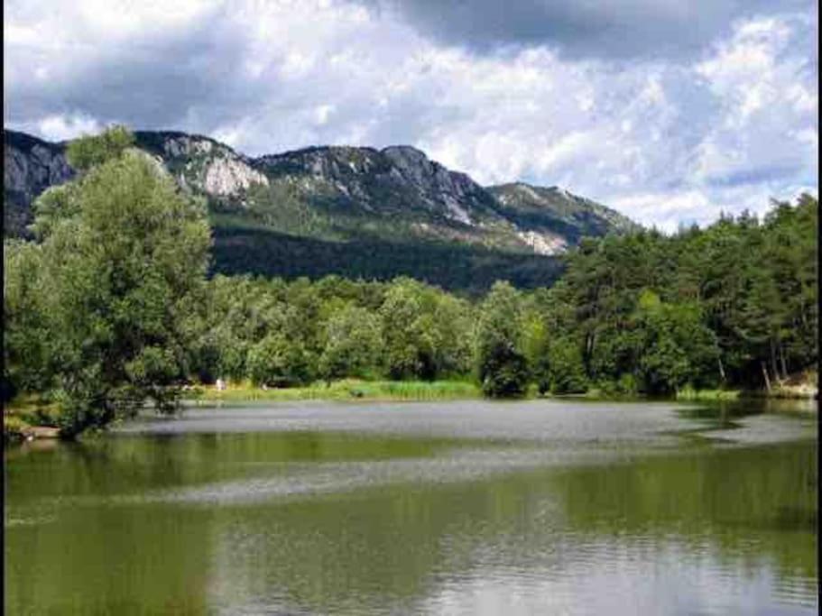 Greolieres: Superbe Studio Avec Vue Montagne المظهر الخارجي الصورة